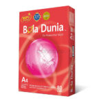 Bola Dunia