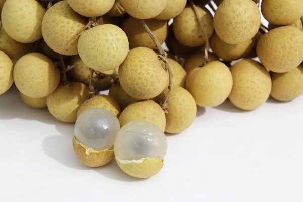 longan