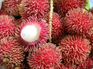 Rambutan - Image 2