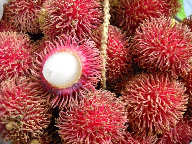 rambutan (2) Rambutan - Image 2