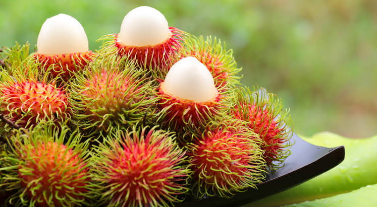 rambutan Rambutan - Image 1