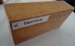 IMG_0281 Bangkirai Wood - Image 2