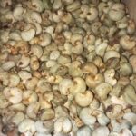 Raw Cashew Nut