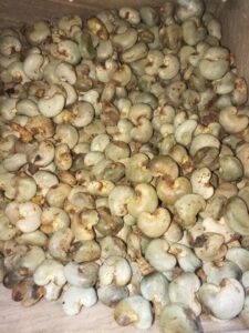 Raw Cashew Nut