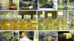 Virgin Coconut Oil - Image 4