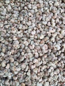 Raw Cashew Nut - Image 4