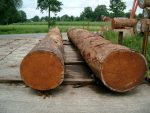 Mahogany Wood - Image 2