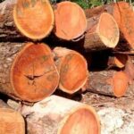 Mahogany Wood