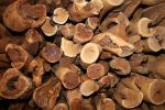 Sandal Wood