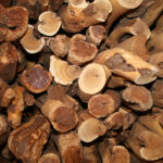Sandal Wood