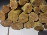Sandal Wood - Image 3
