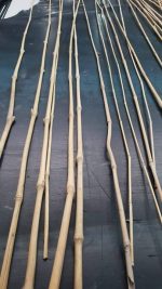 Bamboo Garden - Image 2