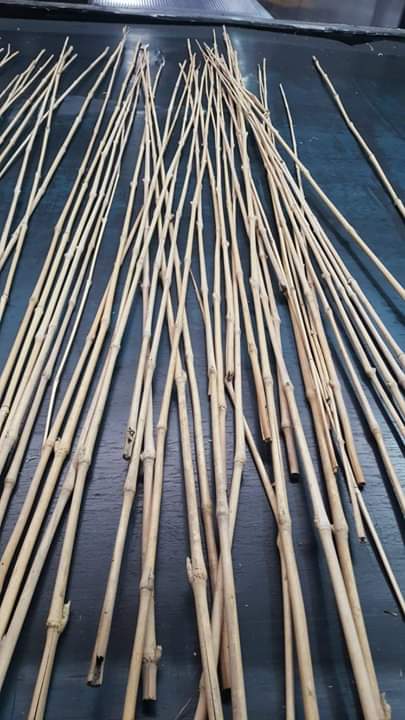 bamboo Bamboo Garden - Image 1