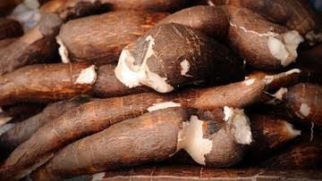 Cassava Cassava - Image 3