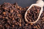 Clove - Image 2