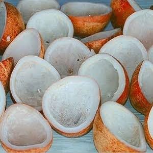 copra Copra - Image 1