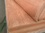 Face Veneer