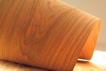 Face Veneer - Image 2