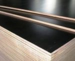 Film Faced Plywood - Image 2
