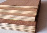 Plywood - Image 3