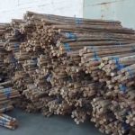 Rattan Batang Polish - Image 5