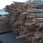 Rattan Batang Polish - Image 4