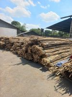 Rattan Batang Skin