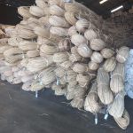 Rattan Kubu