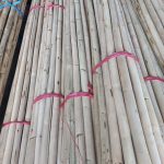 Rattan Manao Semi Poles