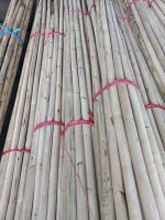 Rattan Manao Semi Poles