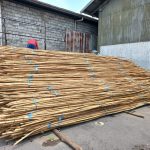Rattan Manao