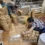 Bulk Rattan Wood Supplier for Global Importers