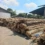 Premium Rattan Wood Exporter for International Markets