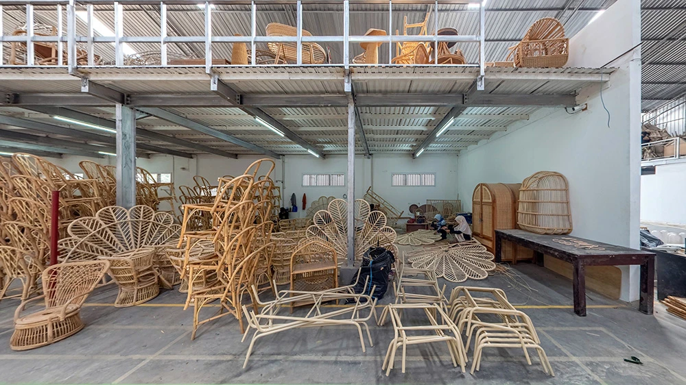 Rattan Wood Producer for Wholesale Furniture Industry