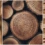 Sustainable Rattan Wood for Furniture Production