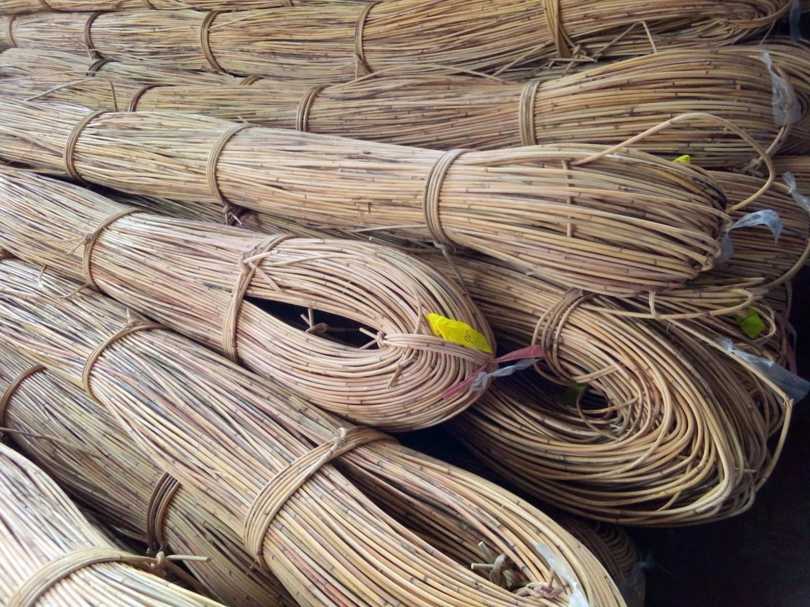 Sustainably Sourced Rattan Wood for Export Markets