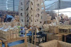Trusted Rattan Wood Producer for Worldwide Distribution