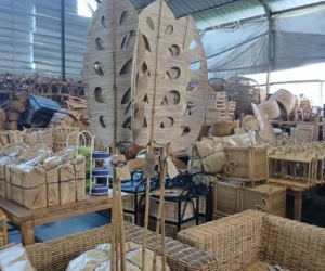 Trusted Rattan Wood Producer for Worldwide Distribution