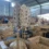 Trusted Rattan Wood Producer for Worldwide Distribution